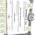 Acercar imagen: certificate 7