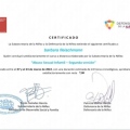 Acercar imagen: certificate 9