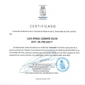 Acercar imagen: certificate 10