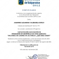 Acercar imagen: certificate 4