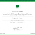 Acercar imagen: certificate 29