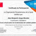 Acercar imagen: certificate 9