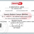 Acercar imagen: certificate 10