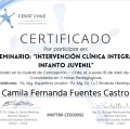 Acercar imagen: certificate 17