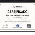 Acercar imagen: certificate 3