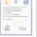 Acercar imagen: certificate 1