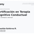 Acercar imagen: certificate 7