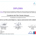 Acercar imagen: certificate 10