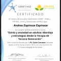Acercar imagen: certificate 7