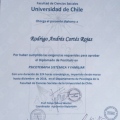 Acercar imagen: certificate 1