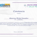Acercar imagen: certificate 4