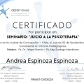 Acercar imagen: certificate 21