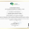 Acercar imagen: certificate 12