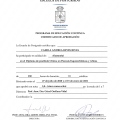 Acercar imagen: certificate 2