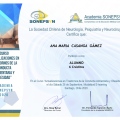 Acercar imagen: certificate 5
