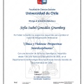 Acercar imagen: certificate 2