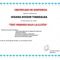 Acercar imagen: certificate 9