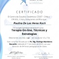 Acercar imagen: certificate 16