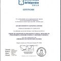 Acercar imagen: certificate 8