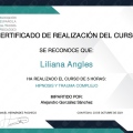 Acercar imagen: certificate 13