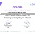 Acercar imagen: certificate 4