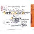 Acercar imagen: certificate 11