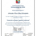 Acercar imagen: certificate 2