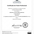 Acercar imagen: certificate 4