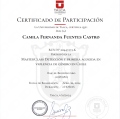 Acercar imagen: certificate 15