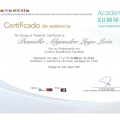 Acercar imagen: certificate 6