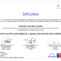 Acercar imagen: certificate 9