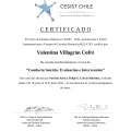 Acercar imagen: certificate 7