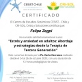 Acercar imagen: certificate 3