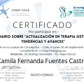 Acercar imagen: certificate 2