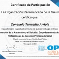 Acercar imagen: certificate 81