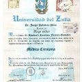 Acercar imagen: certificate 7