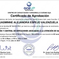 Acercar imagen: certificate 2
