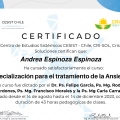 Acercar imagen: certificate 14