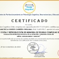 Acercar imagen: certificate 3