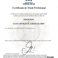 Acercar imagen: certificate 3