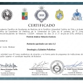 Acercar imagen: certificate 2