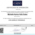 Acercar imagen: certificate 21