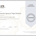 Acercar imagen: certificate 1