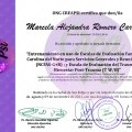Acercar imagen: certificate 13