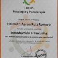 Acercar imagen: certificate 41