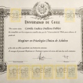 Acercar imagen: certificate 1