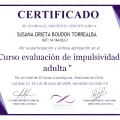 Acercar imagen: certificate 11