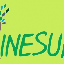 Kinesur