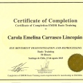 Acercar imagen: certificate 1