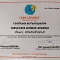 Acercar imagen: certificate 7